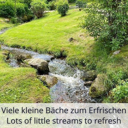 Auszeit Apartment Black Forest Schonach im Schwarzwald Εξωτερικό φωτογραφία