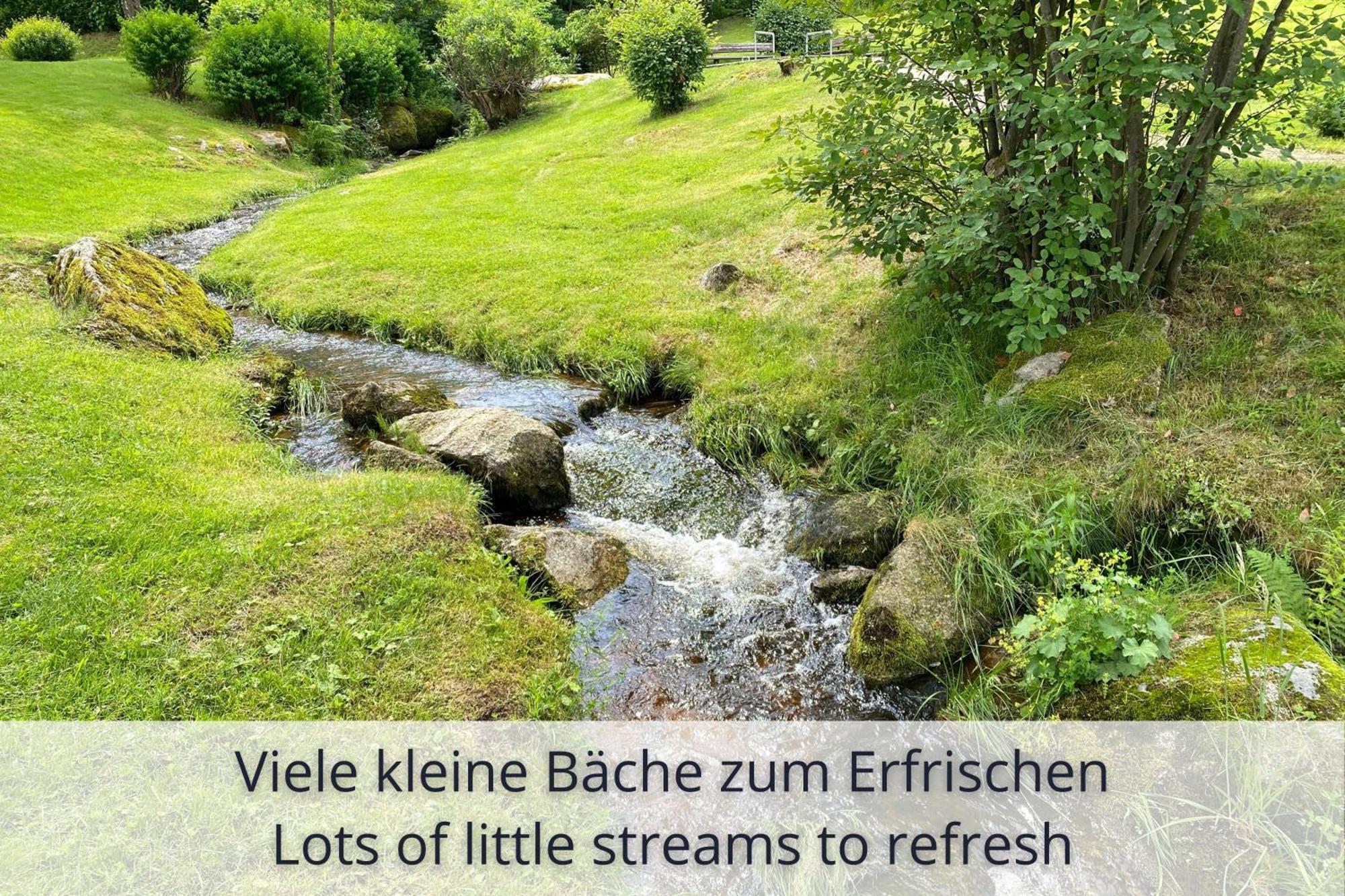 Auszeit Apartment Black Forest Schonach im Schwarzwald Εξωτερικό φωτογραφία