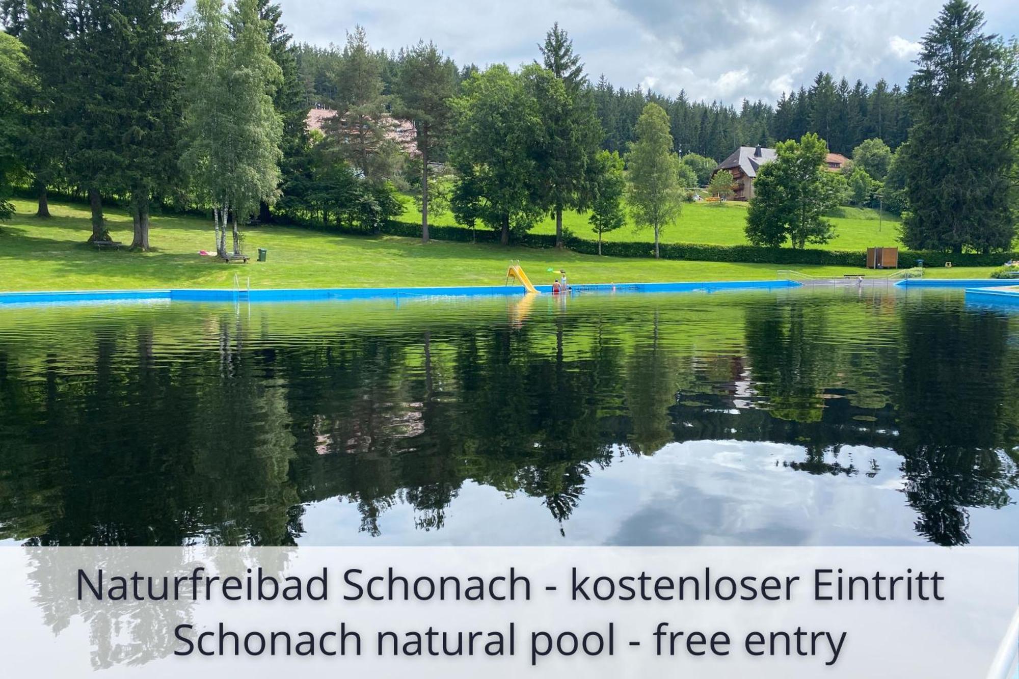 Auszeit Apartment Black Forest Schonach im Schwarzwald Εξωτερικό φωτογραφία