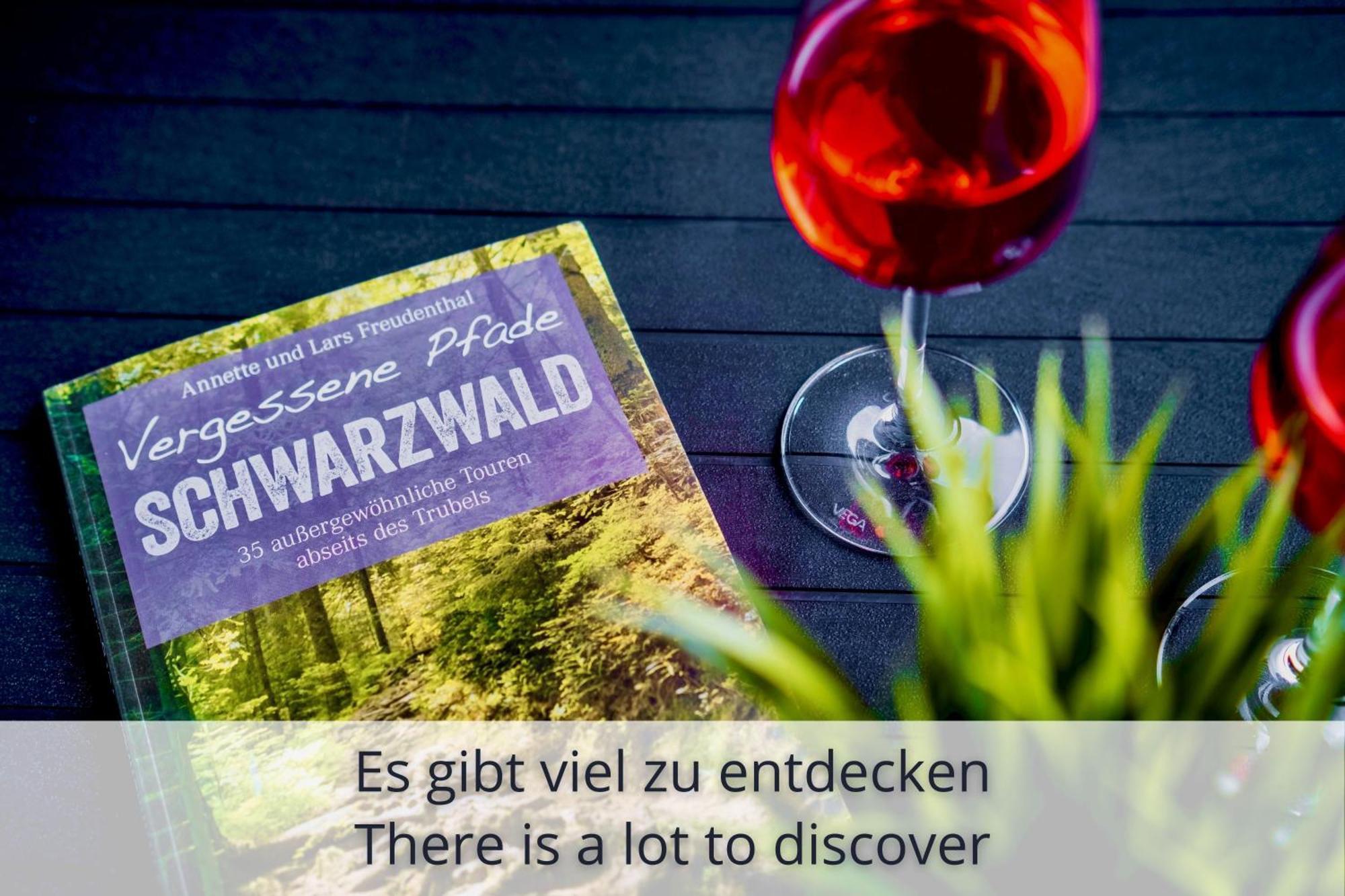 Auszeit Apartment Black Forest Schonach im Schwarzwald Εξωτερικό φωτογραφία