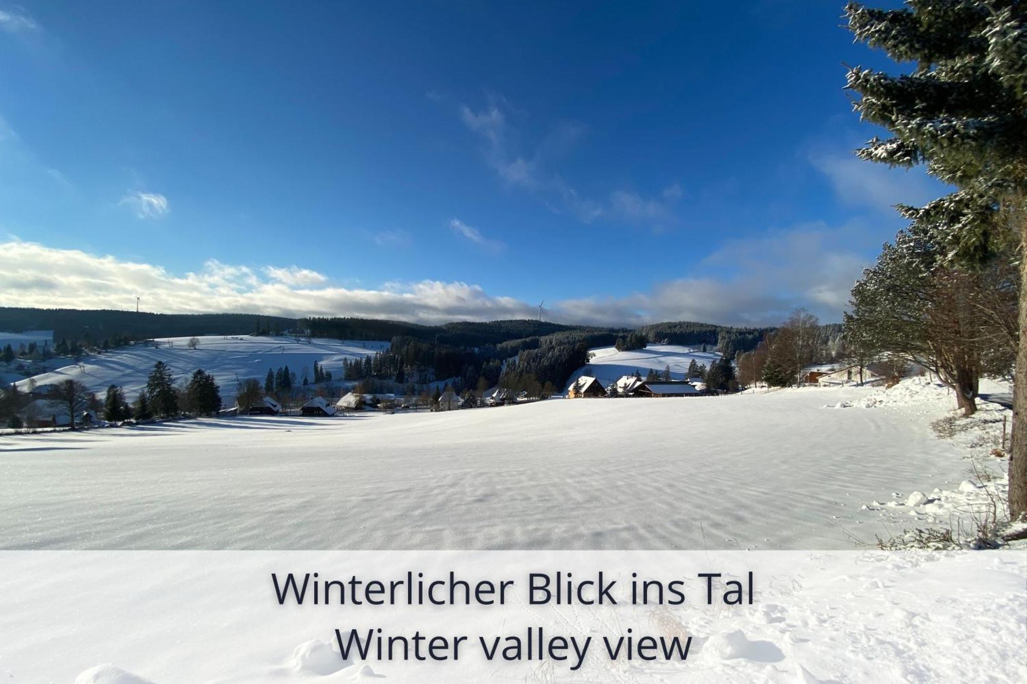 Auszeit Apartment Black Forest Schonach im Schwarzwald Εξωτερικό φωτογραφία
