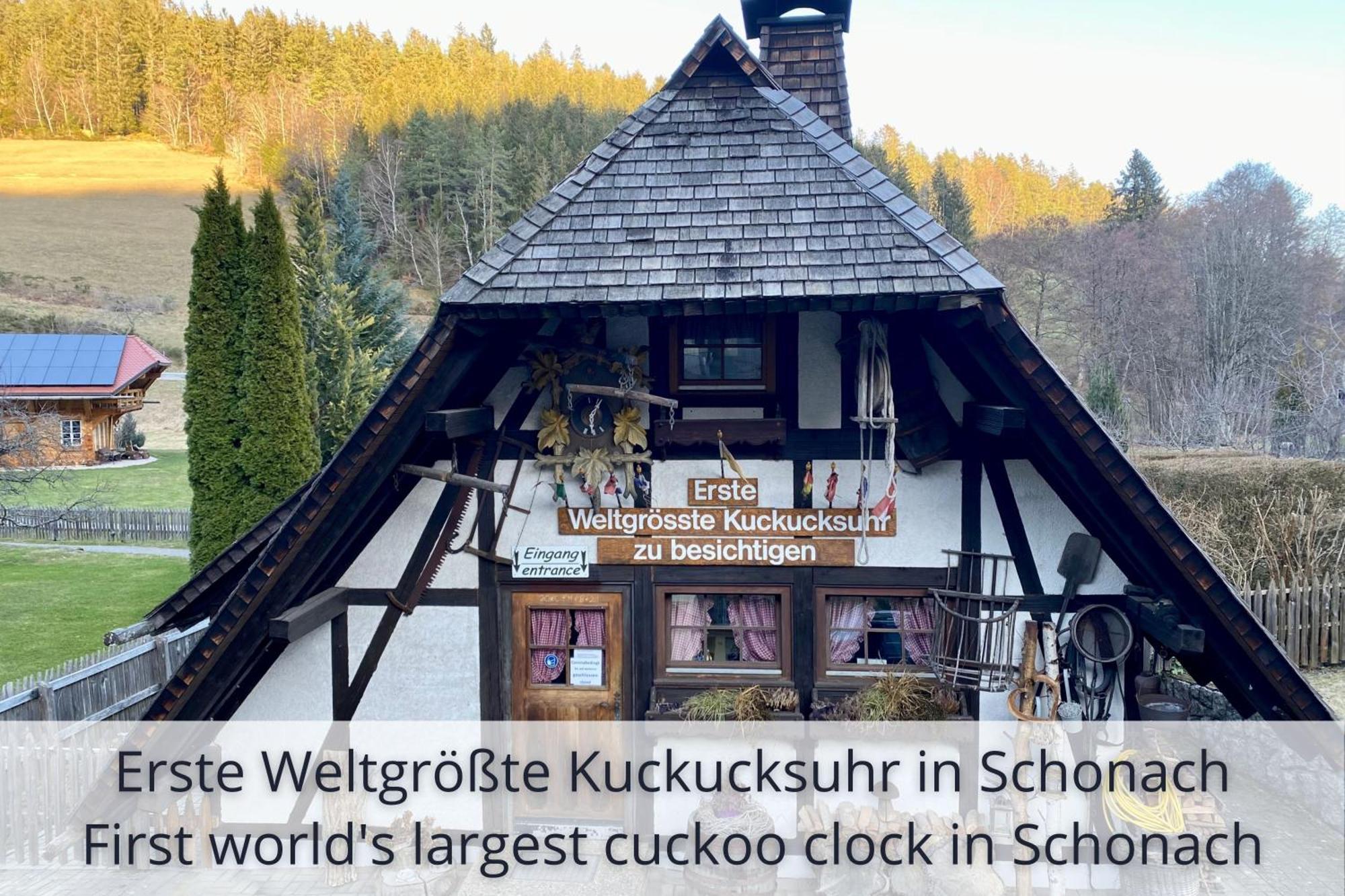 Auszeit Apartment Black Forest Schonach im Schwarzwald Εξωτερικό φωτογραφία