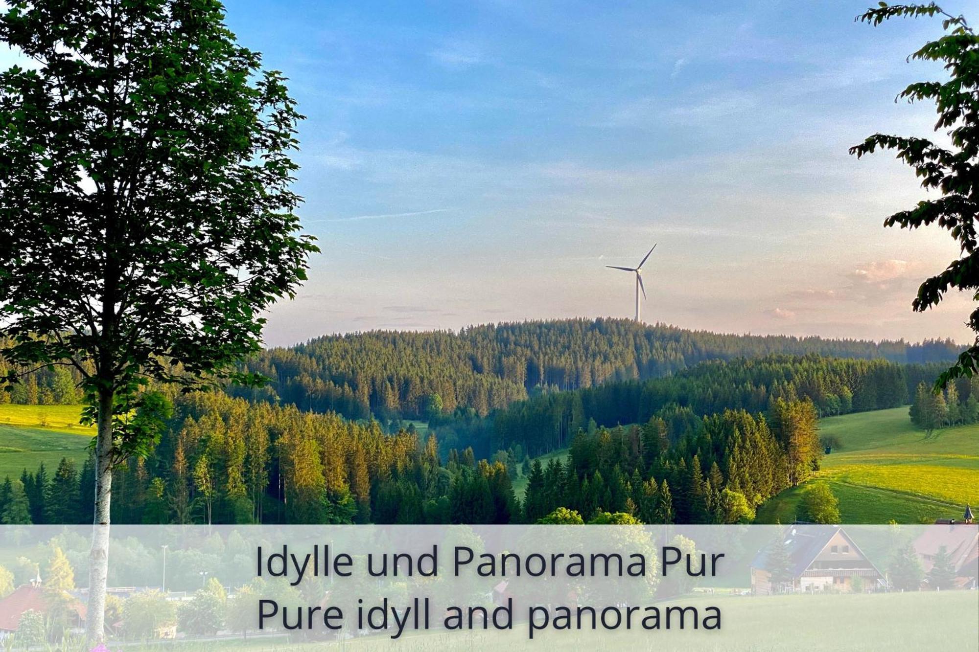 Auszeit Apartment Black Forest Schonach im Schwarzwald Εξωτερικό φωτογραφία