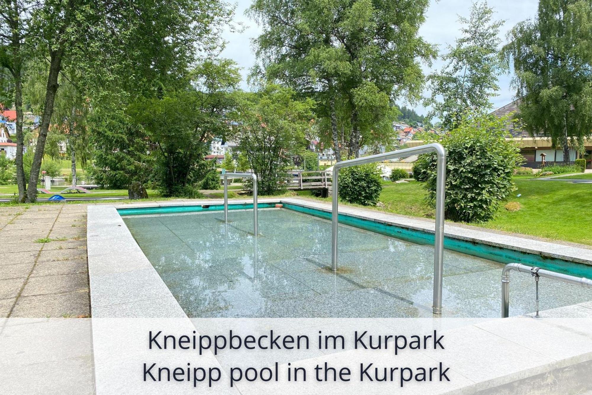 Auszeit Apartment Black Forest Schonach im Schwarzwald Εξωτερικό φωτογραφία