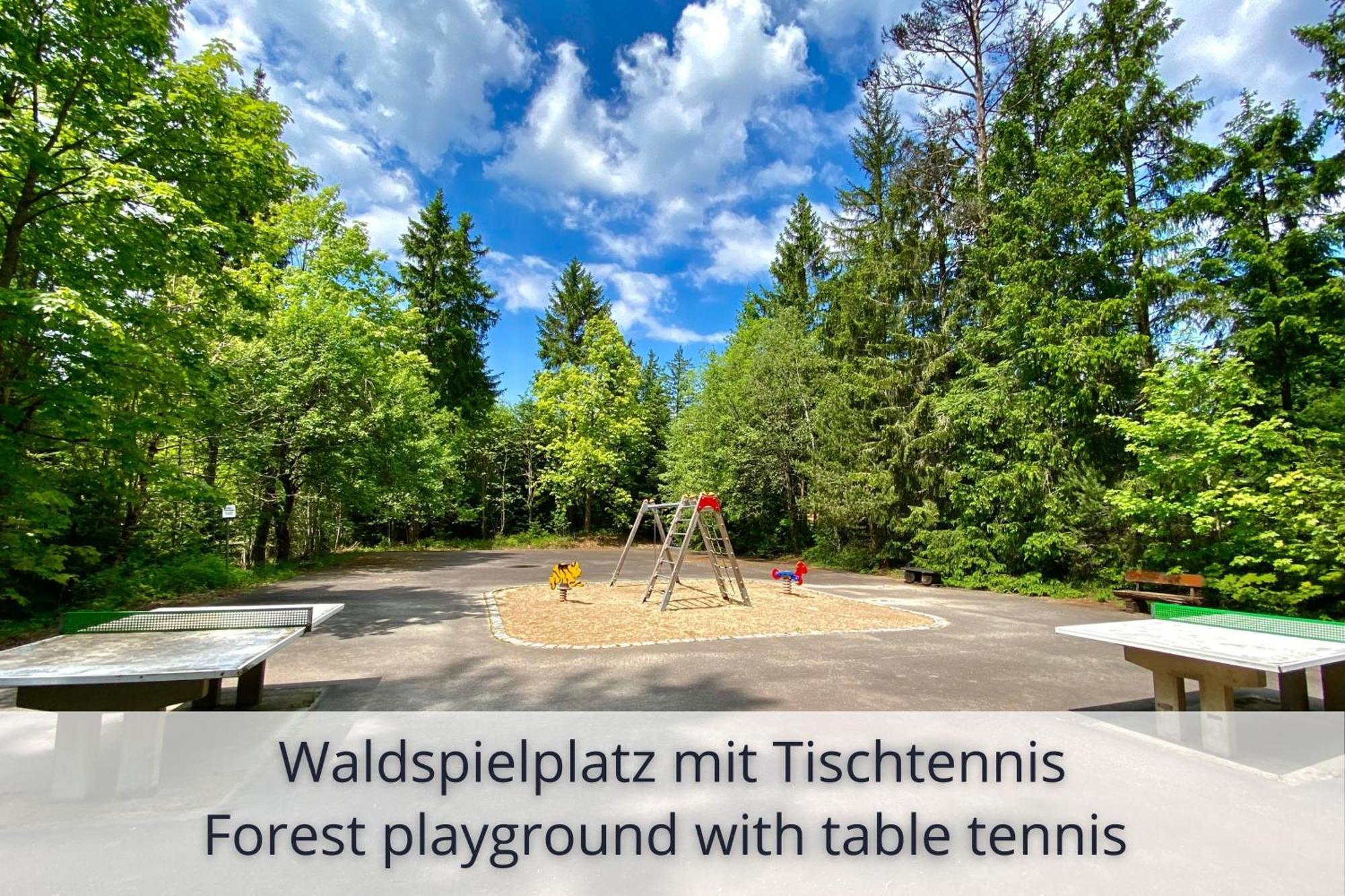 Auszeit Apartment Black Forest Schonach im Schwarzwald Εξωτερικό φωτογραφία